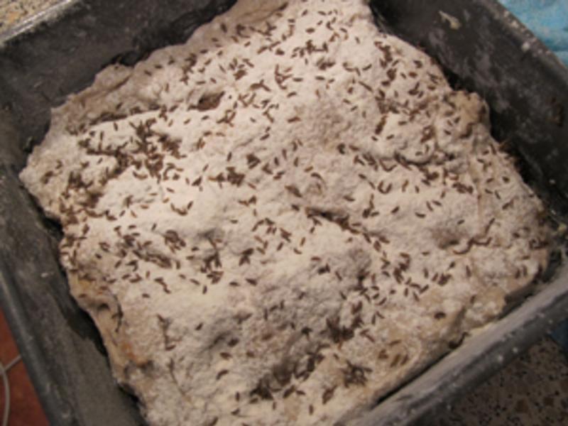 [�ⷢ��] ���Һ������������