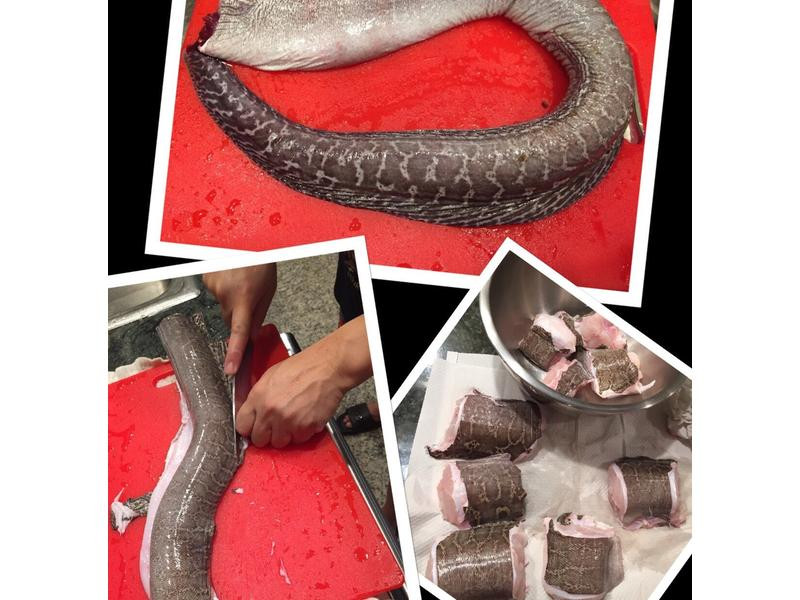 ҩ�����㲹��������