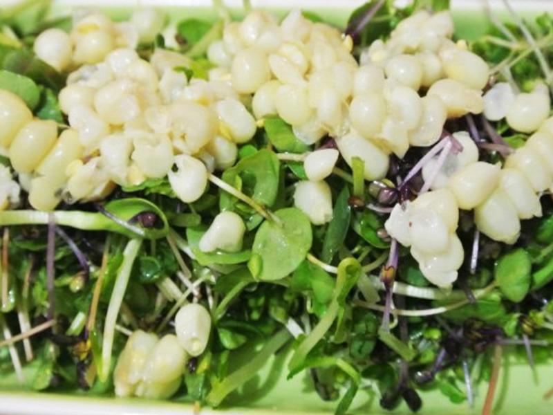 ����ɳ��������