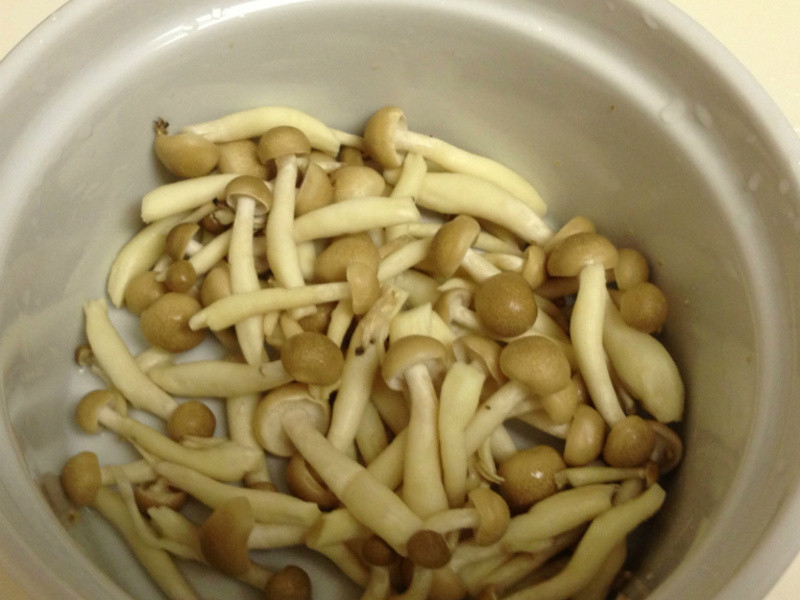 ��ʳ������������