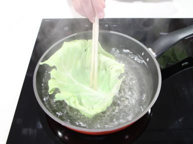 ������[������ʳʳ��]������