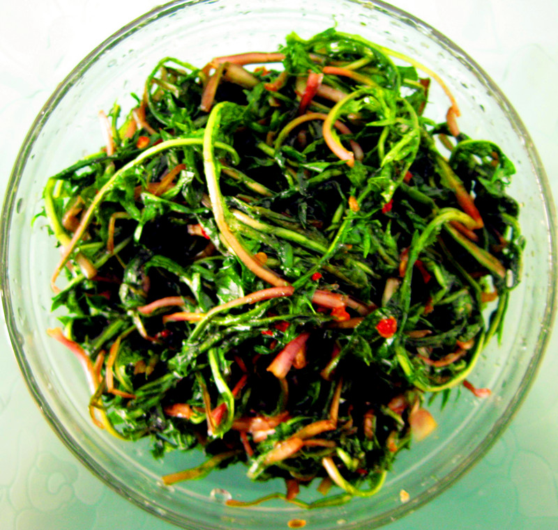 ���ѹ�Ӣ�����Ŷ���������