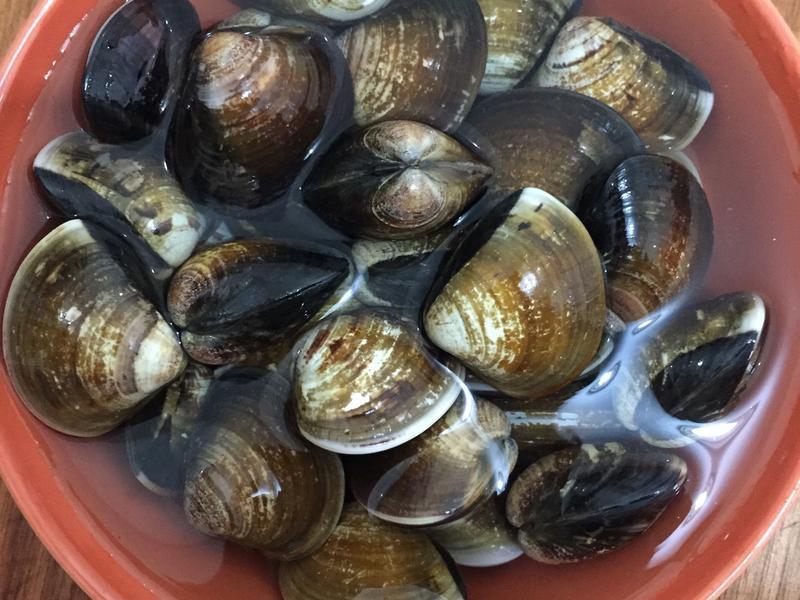 ������˿�ϸ��۵�����