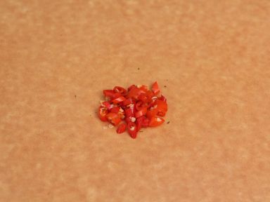 ����ѩ�˳�ë��������