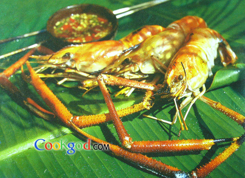 ̿�մ�ͷϺ������