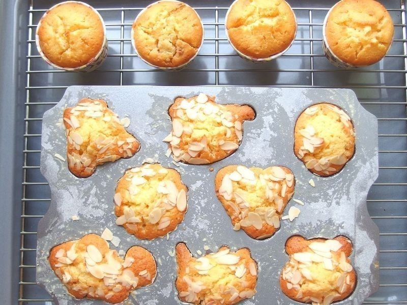 ����������������