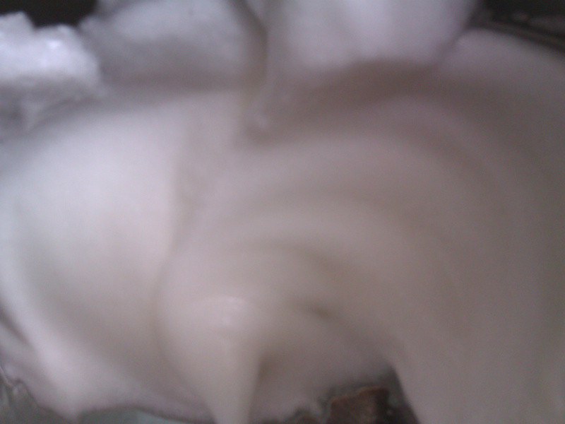 Special K ������������ʳ:������ʽ�������� ��Ƭ~ʮ��������