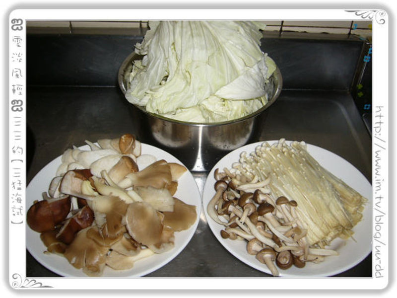 �ٹ����������������