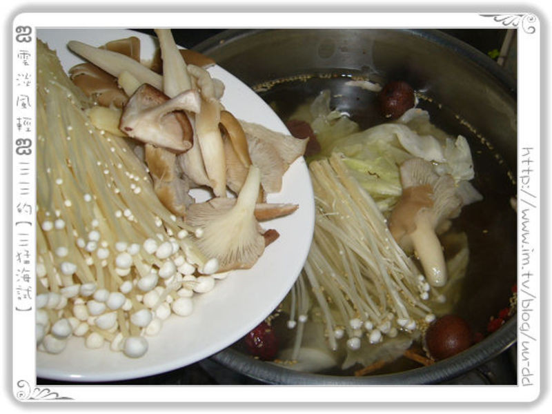 �ٹ����������������