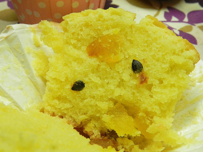 ˫�����ҵ�����