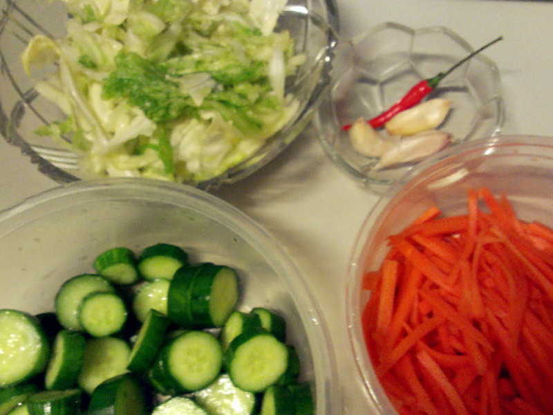 ̨ʽ÷���ݲ˵�����