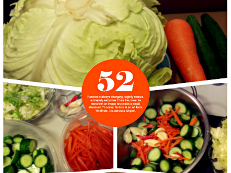 ̨ʽ÷���ݲ˵�����