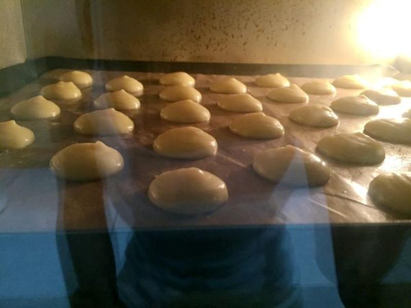 ʥ��ŵ����ܽ��������