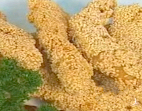 ֥��������������