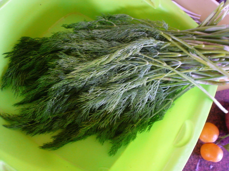 ����Լ�����������Բ�����ǩ������������������