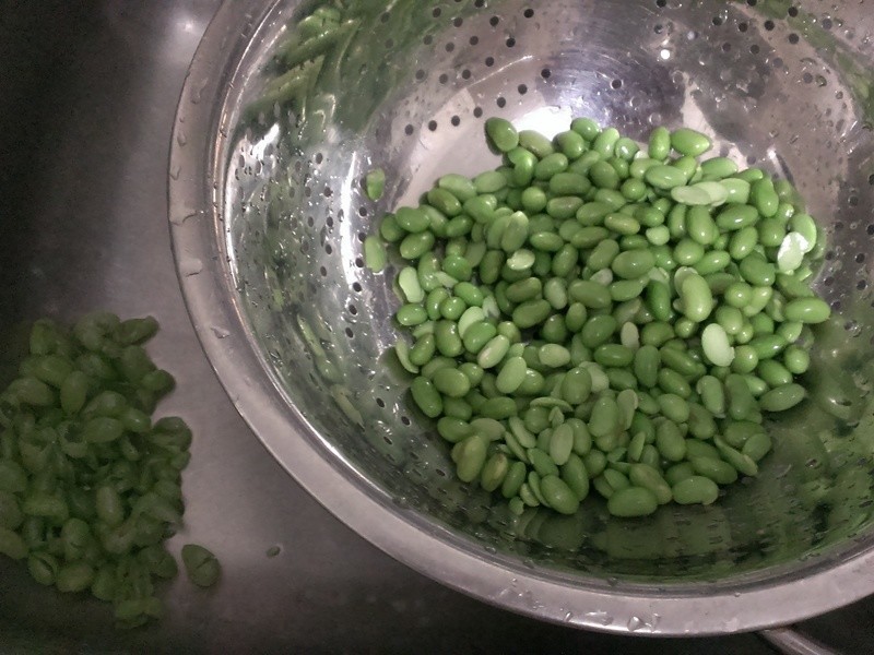 ���㶹�ɳ�ë��������