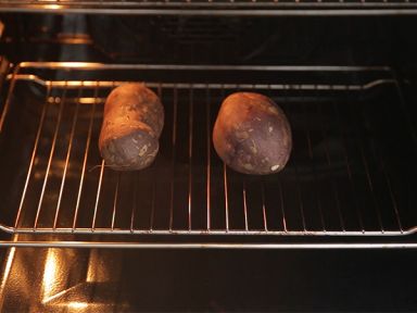 ����֥ʿ������������