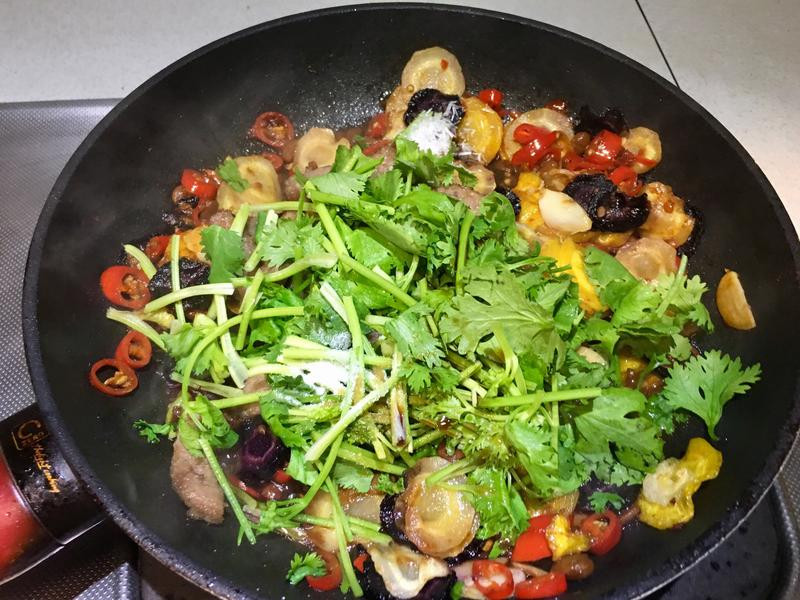 ������ɫ���ܲ�������