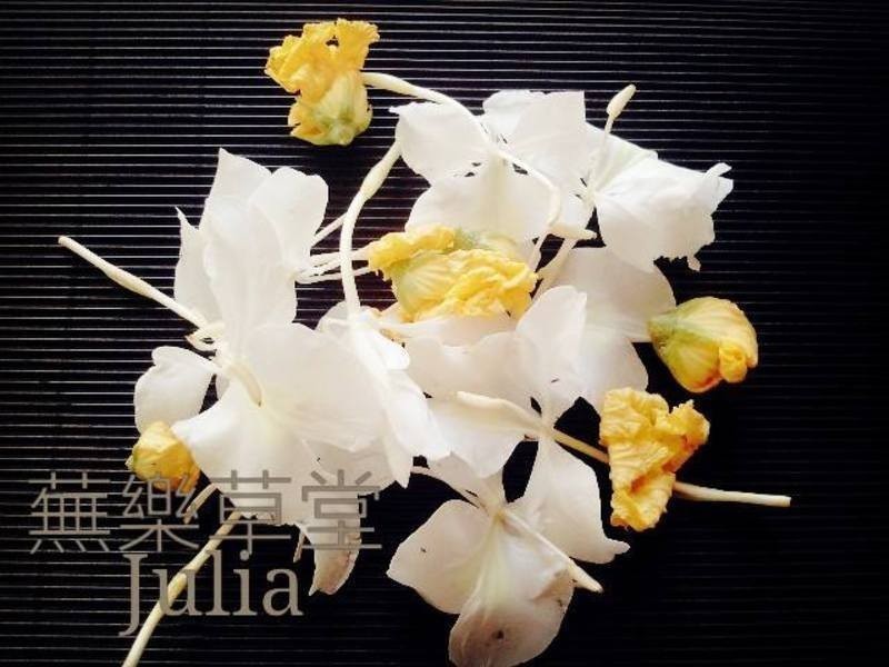 �����·��Ż��ٵ���顿������