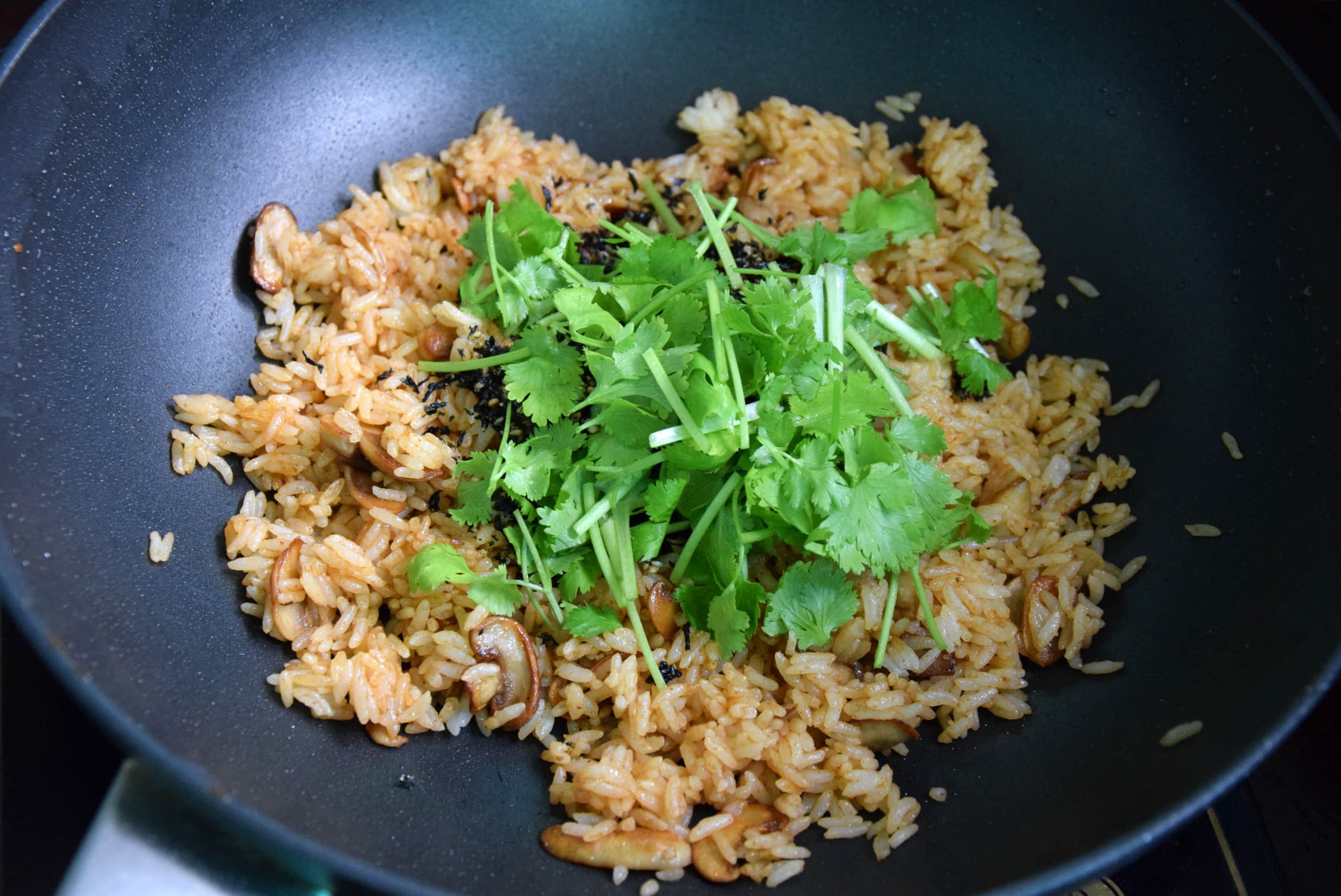 ɳ��Ģ���������������