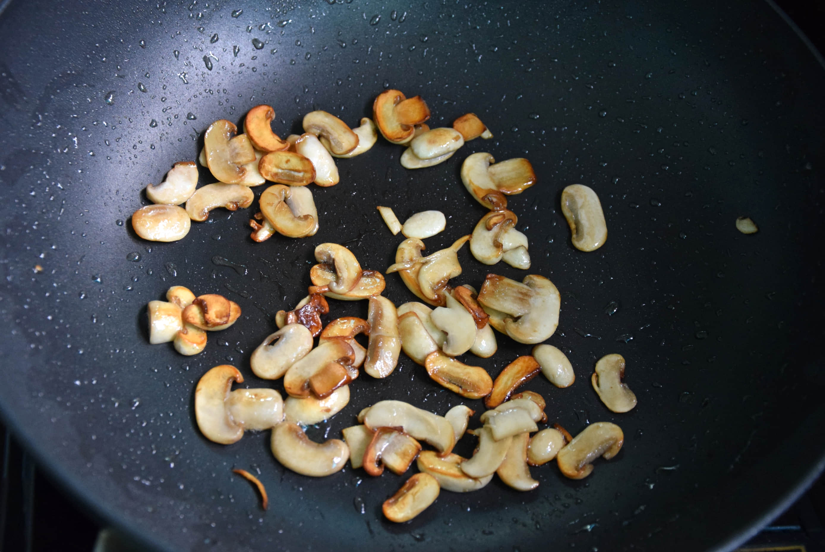 ɳ��Ģ���������������