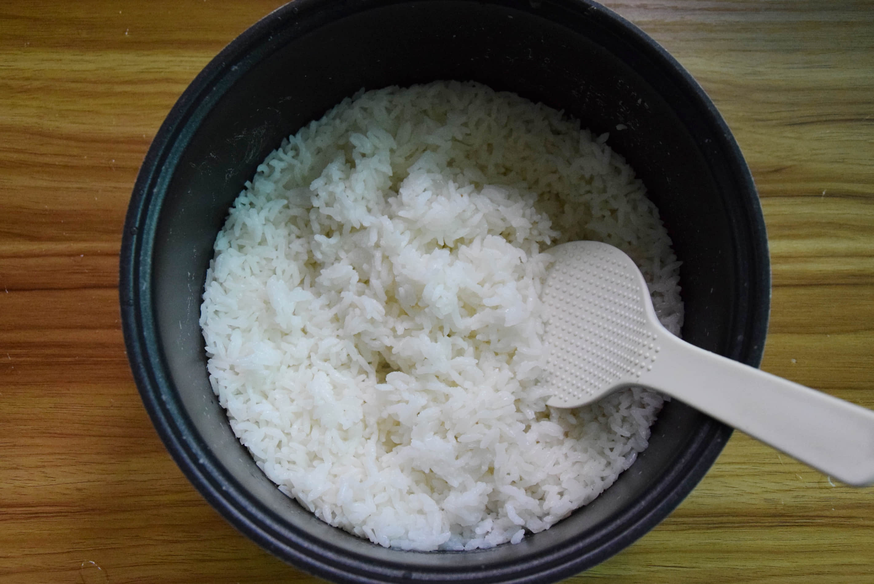 ɳ��Ģ���������������