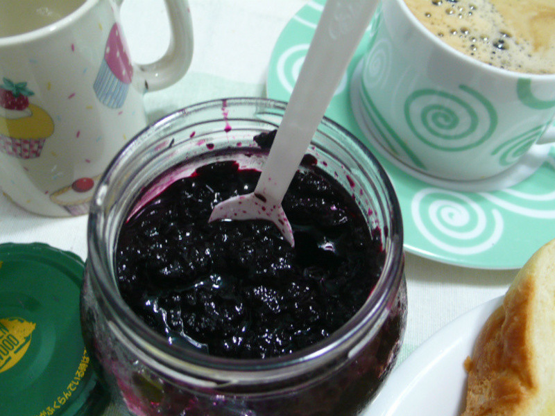 lanni ��ݮ��������