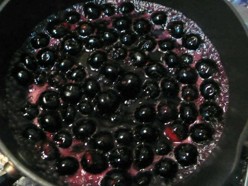 lanni ��ݮ��������