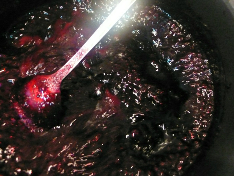 lanni ��ݮ��������