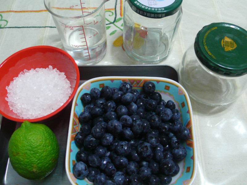 lanni ��ݮ��������