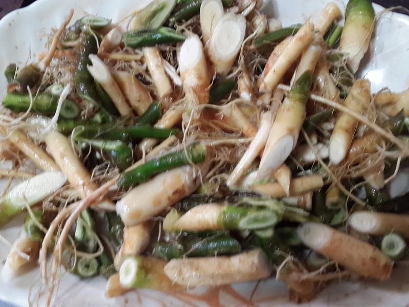 ��β��������������