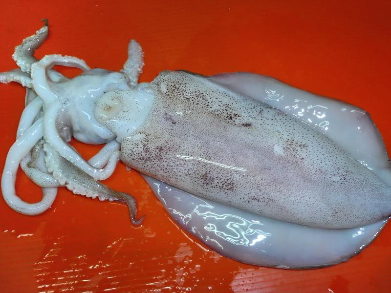 �̠`��˿������