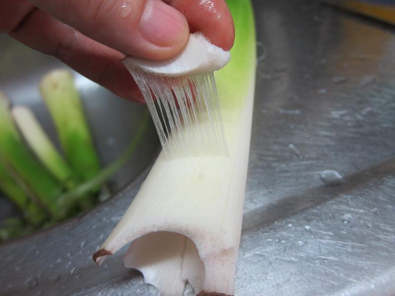 �������԰��ζ-��(̨��)������