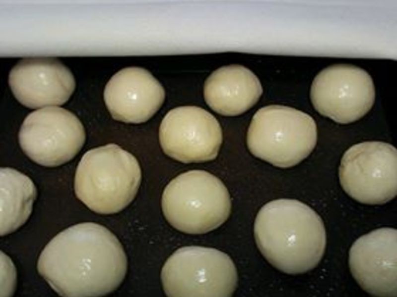 ɳ����ݮ���춹���������