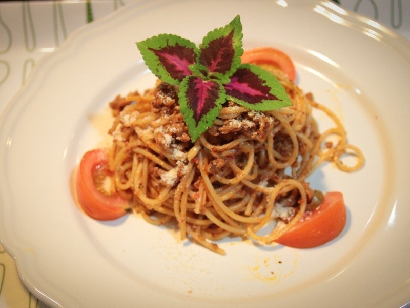 ��������������������