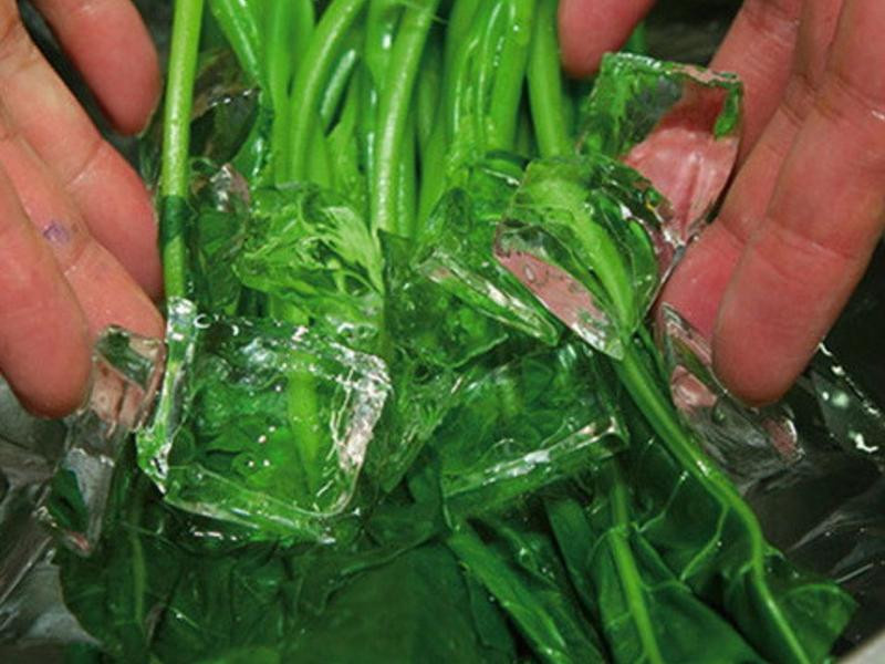 �𻪽�����������