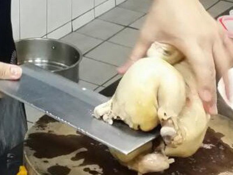 �𻪽�����������