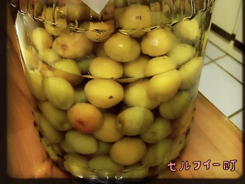 38������÷�Ƶ�����