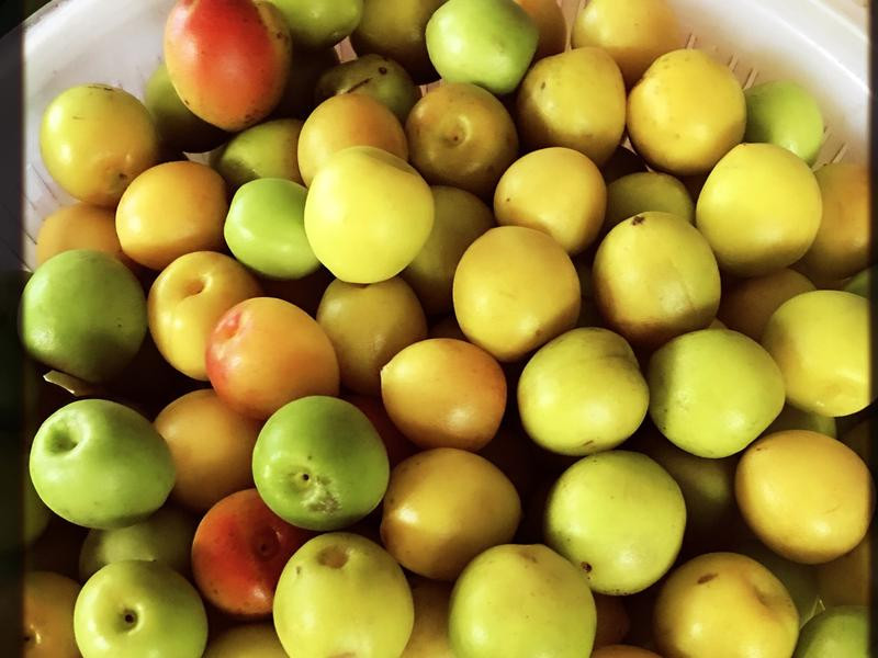 38������÷�Ƶ�����