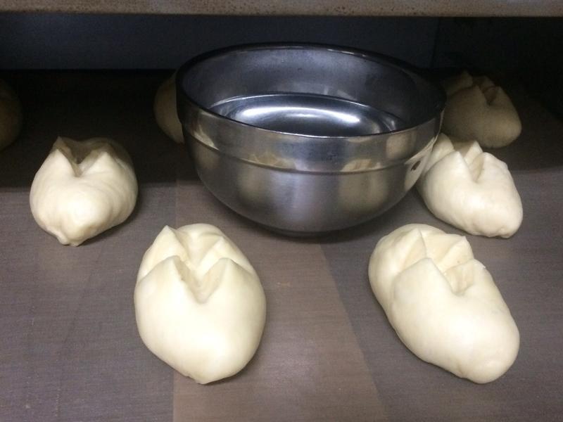 �ȹ�����������������