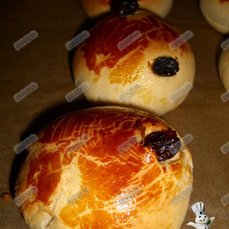 Ų��Բ���������