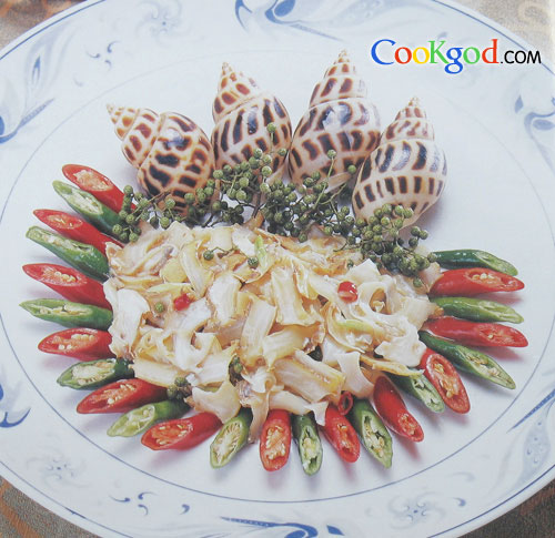 ��������Ƭ������