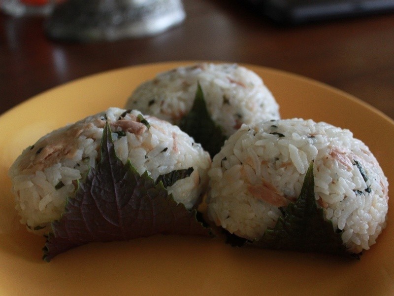 �������㷹�ŵ�����