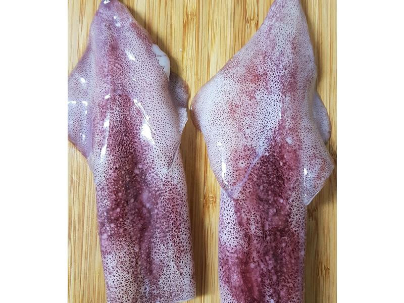 ͸����ʿ����������