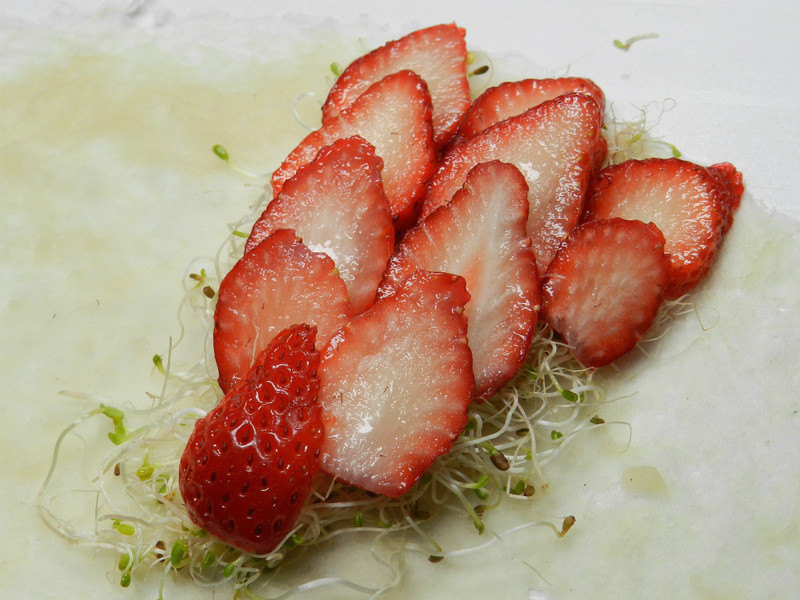 ��ݮ�Ͱ�ӥ������~������ݮ�����������