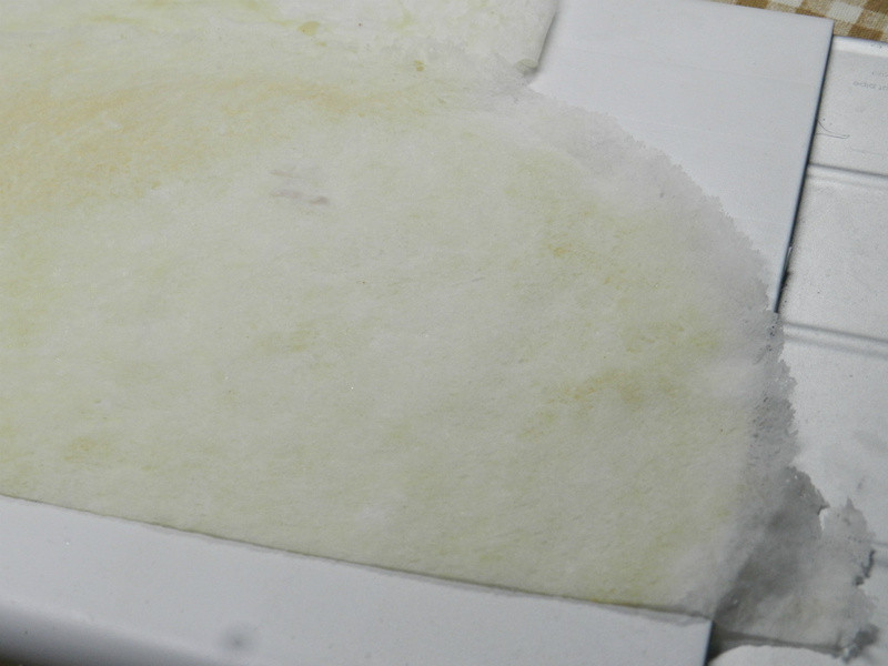 ��ݮ�Ͱ�ӥ������~������ݮ�����������