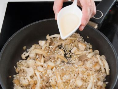 ��Ѭ�����㻨����¶�������������