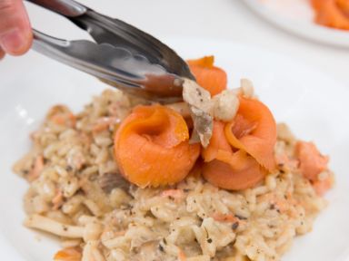 ��Ѭ�����㻨����¶�������������