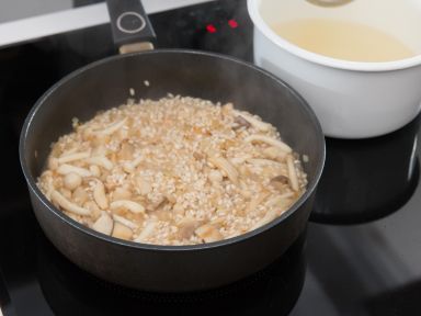 ��Ѭ�����㻨����¶�������������