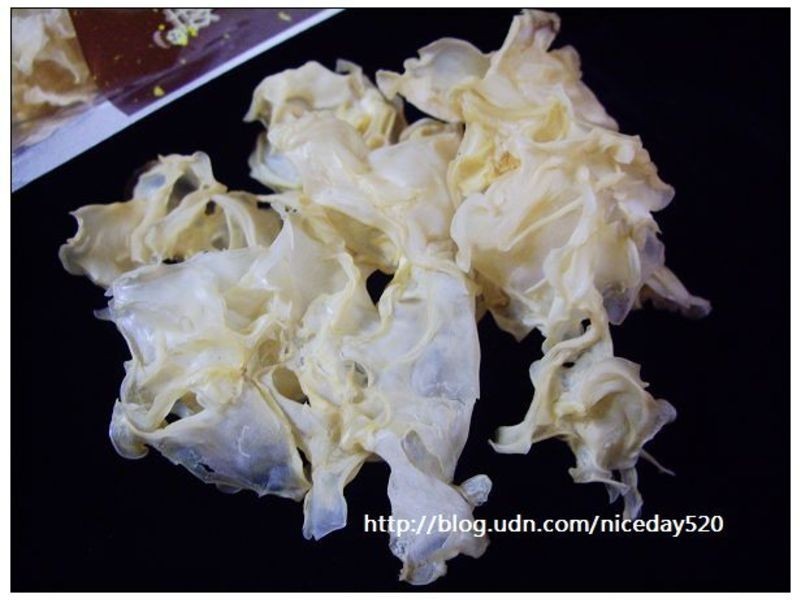 �л���ѩ����������